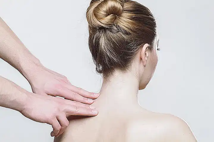 Terapia Neural Veterinaria Que Es Y Sus Beneficios