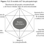 Terapias de sonido para maximizar resultados: Guía completa