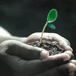Transforma tu vida con el revolucionario Botón Therapy