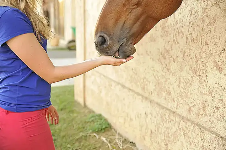 Understanding the connection between body image and self-esteem