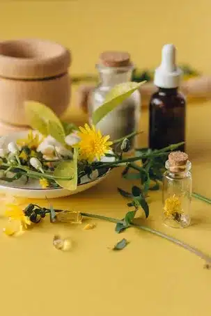 Uso de hierbas y plantas medicinales en el Ayurveda