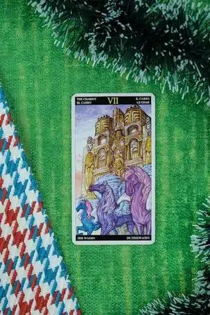 VII. Futuro de la homeopatía